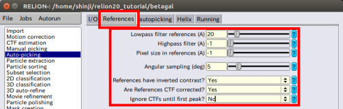 relion-AutoPicking-pre-References.png