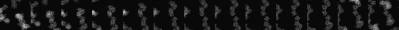 ファイル:Input-Tomogram1.png